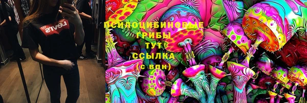 таблы Краснослободск