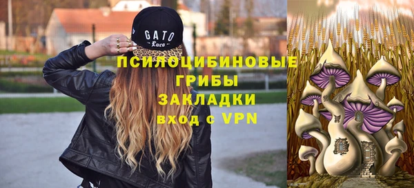 шишки Краснотурьинск