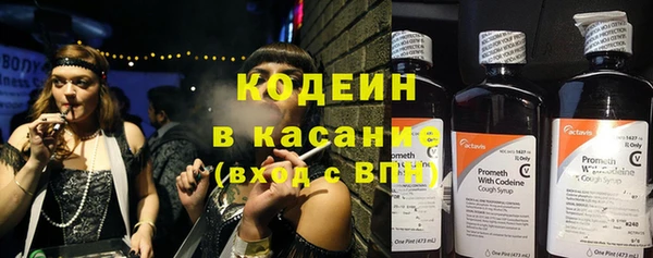 шишки Краснотурьинск