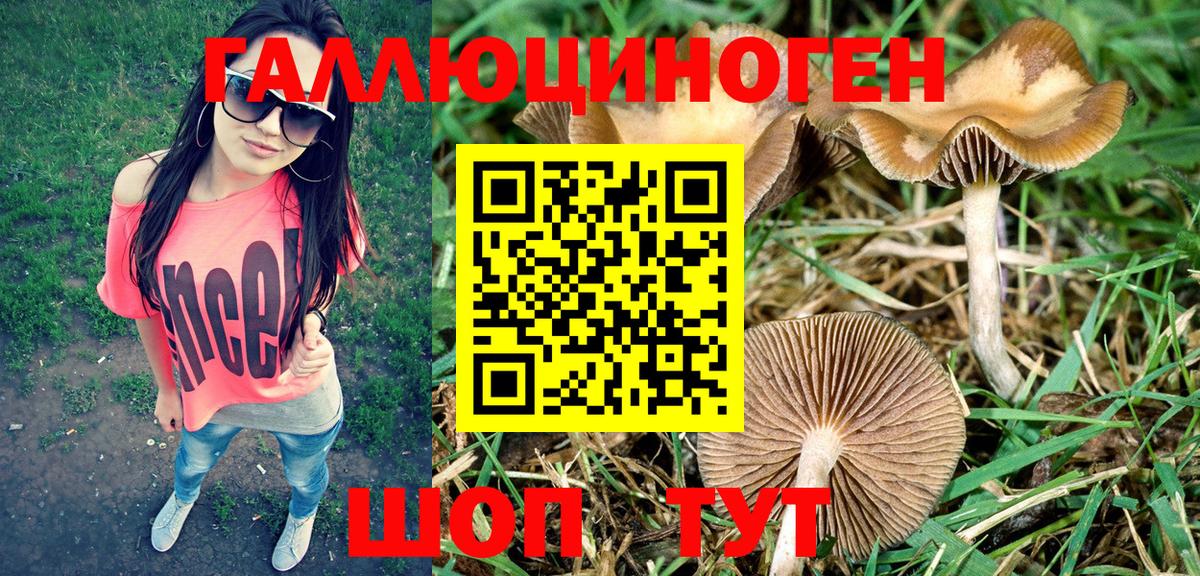 Псилоцибиновые грибы мухоморы Мыски