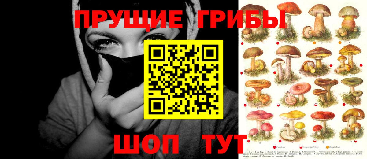 Галлюциногенные грибы мицелий  Вход с VPN  Мыски  Галлюциногенные грибы мухоморы 