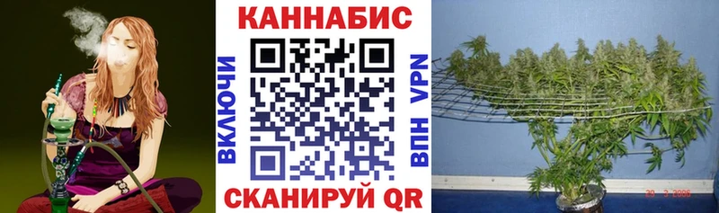 дарнет шоп  Мыски  Бошки марихуана индика 